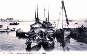 Alger - Port - Bateaux de Peche - 1908